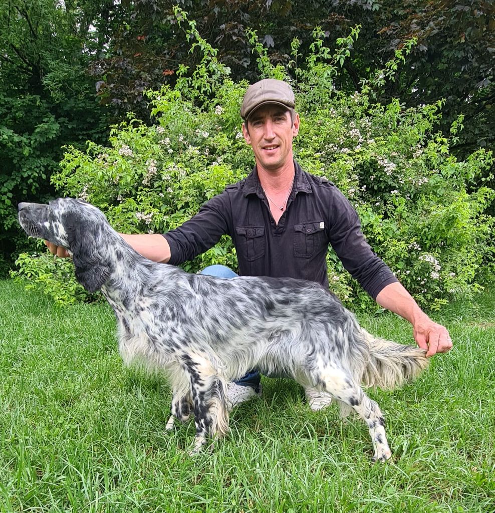 Sisu Du Comté De Trépugnat