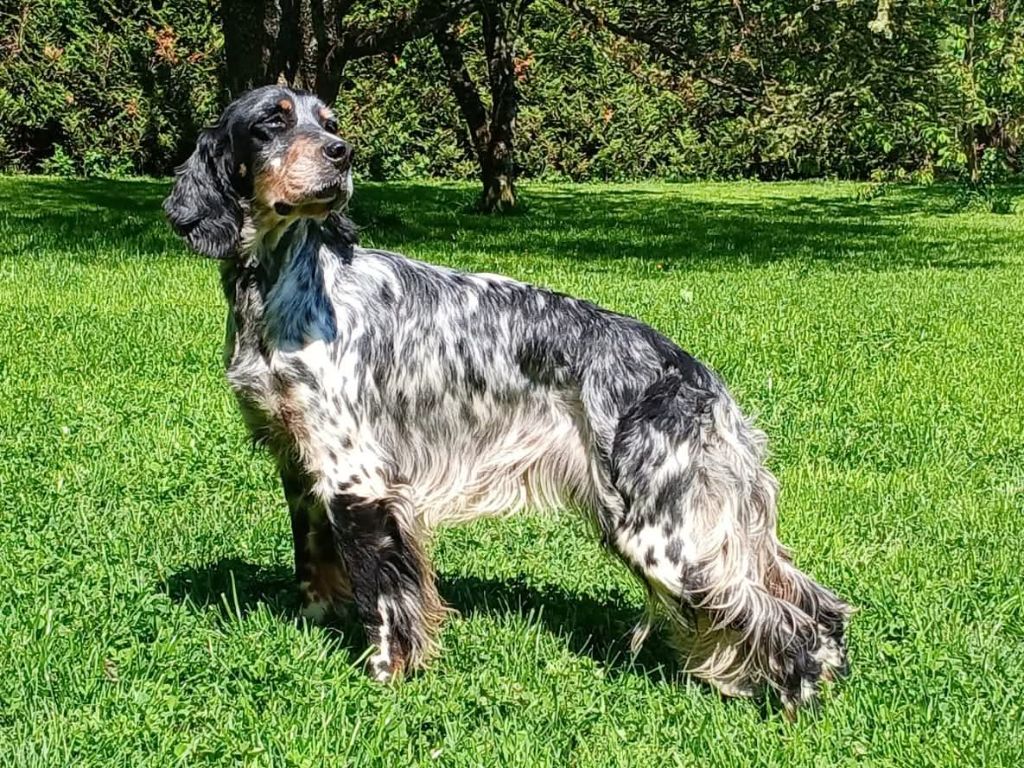 R'mione Du Comté De Trépugnat