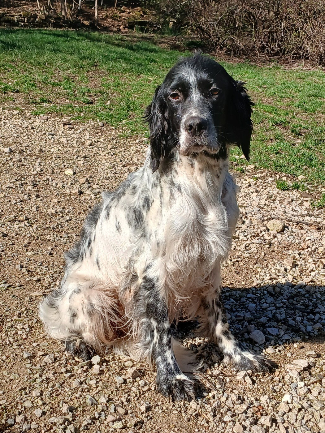 Scarlett Du Comté De Trépugnat
