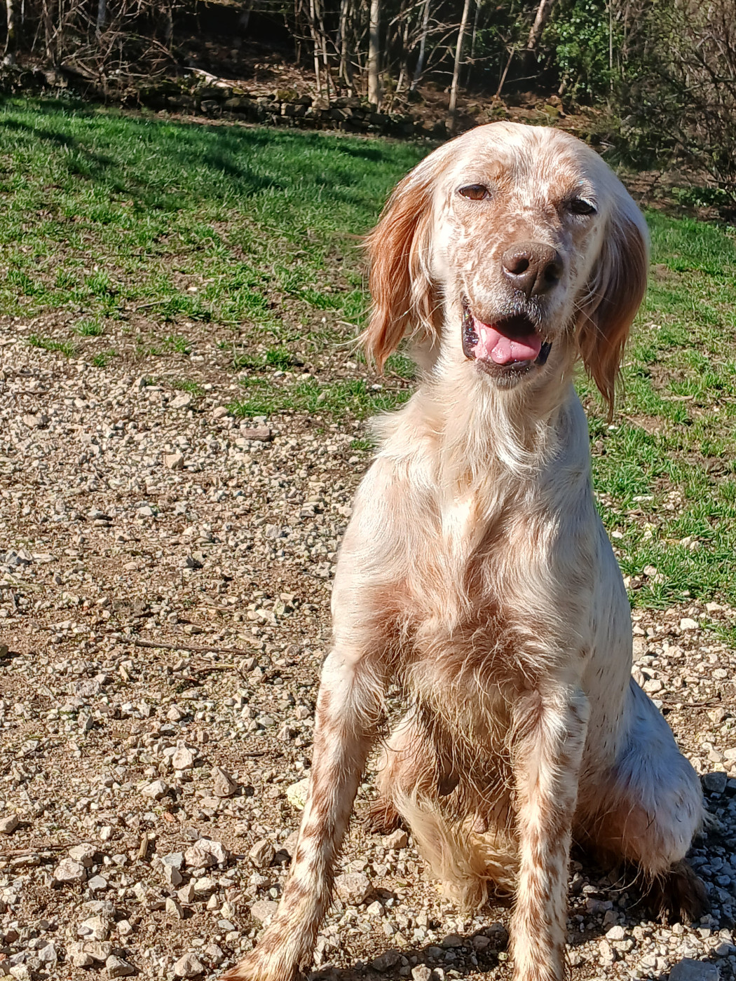 Uriel Di val di chiana
