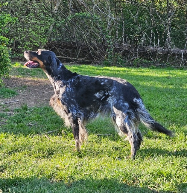 Sally Du Comté De Trépugnat