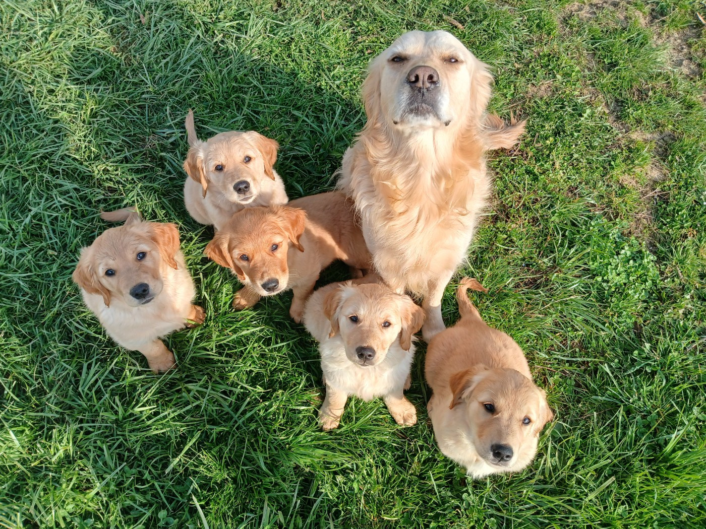 Quelques jours avant les départs
